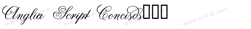 Anglia Script Concis字体转换